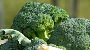 ЧТО БУДЕТ, ЕСЛИ ЕСТЬ БРОККОЛИ КАЖДЫЙ ДЕНЬ