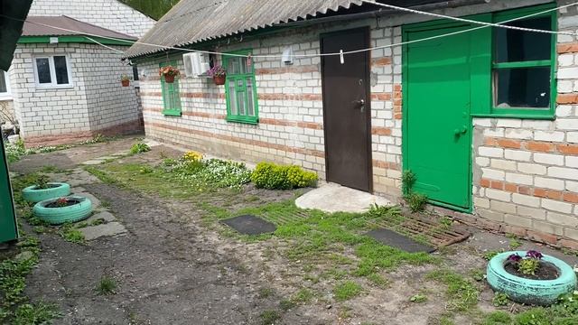 ТОП ВОПРОС ОТ НАЧИНАЮЩИХ ШИНШИЛЛОВОДОВ || Шиншилловодство || Шиншилловые фермы