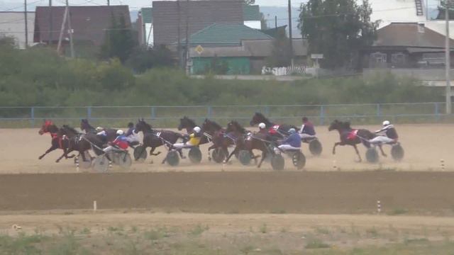 Бега-заезд для лошадей 4 лет-Емельяново 15.08.2015(Horse–Animal-racing-конь-смотреть-онлайн-скачки) смотреть онлайн