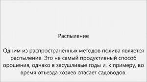 Как поливать смородину.Как часто поливать смородину