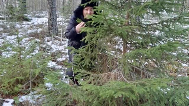 новыйгодсемьяпраздникотдых