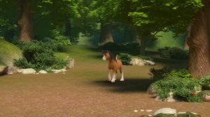 Fedakarlık - Doru 22. Bölüm