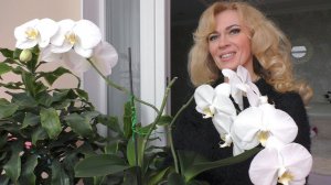 КРАСИВОЕ видео о ЦАРСКИХ ОРХИДЕЯХ! Воскресенье, ОТДЫХАЕМ и ВДОХНОВЛЯЕМСЯ!