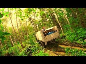 Ореховая лихорадка. Раннее, вынужденное начало .