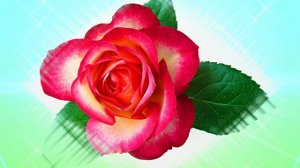 Футаж. Цветочный фон 144  Footage. Floral background 144