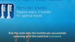 How do you get mold out of Sonicare toothbrush?