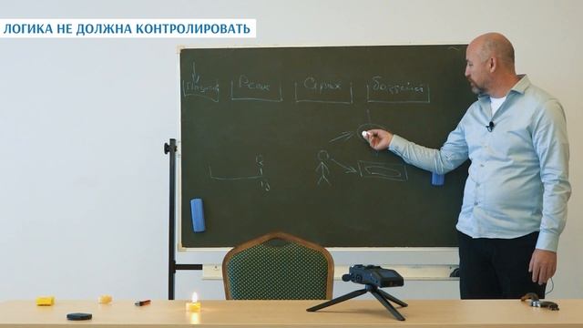 Как родители Создают реальность Детям смотреть онлайн