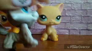 LPS:распаковка 6 LPS с алиэкспресс ❤