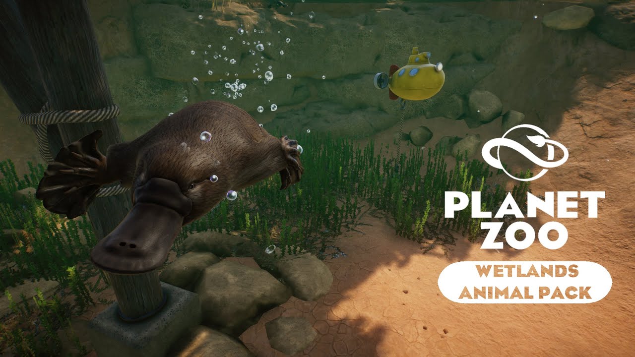 Planet Zoo Wetlands - Утконос