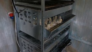 Вся правда о клетках Дмитрия Бочарова. Perepelka. net