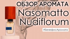 Обзор и отзывы об аромате Nasomatto Nudiflorum (Насоматто Нудифлорум) от Духи.рф | Бенефис аромата