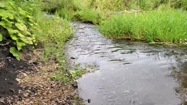 Палеоизыскания на реке Йода, Ярославской обл., Рыбинского района