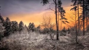 БИБЛИЯ КНИГА ИСХОД Глава 2.