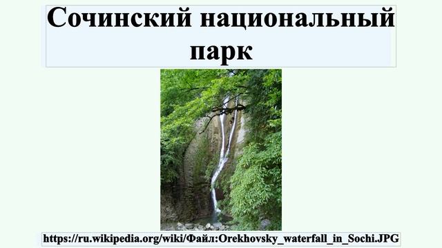 Сочинский национальный парк смотреть онлайн