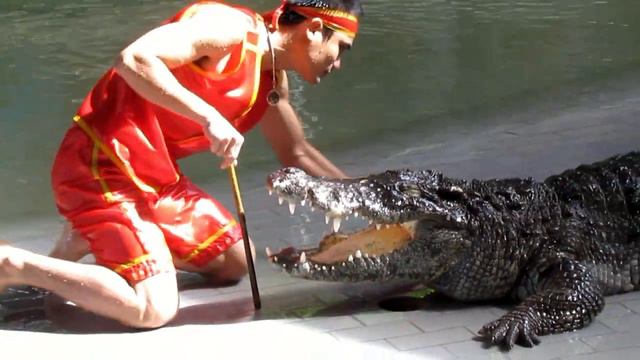 ЖЕСТЬ голова в пасти крокодила смотреть онлайн