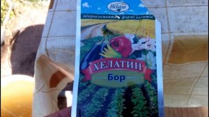 ?????ЖЕЛТЕЕТ И ЗАСЫХАЕТ ЗАВЯЗЬ ОГУРЦОВ?! ПРИЧИНА. ЧТО ДЕЛАТЬ?!