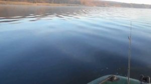 Оскольское водохранилище