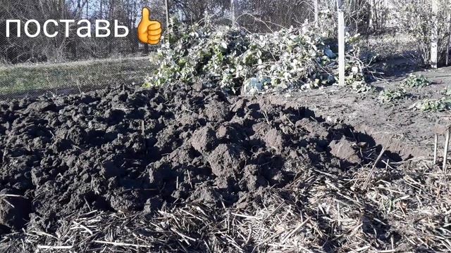 МОЯ Копалочка! ИЗГОТОВЛЕНИЕ СВОИМИ РУКАМИ НУЖНОГО ИНСТРУМЕНТА ДЛЯ САДА- ОГОРОДА! смотреть онлайн