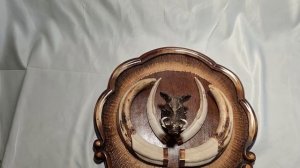 Клыки кабана на медальоне