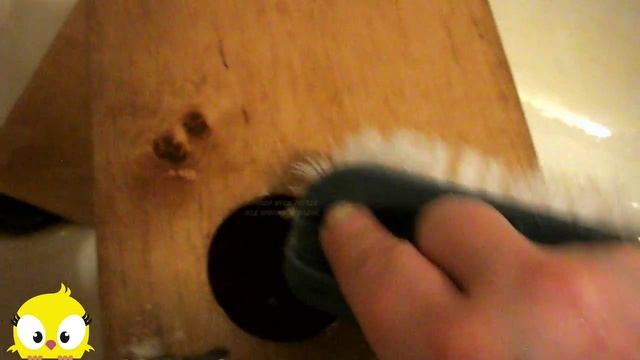 Дезинфекция гнездового домика. Про волнистых попугайчиков. смотреть онлайн