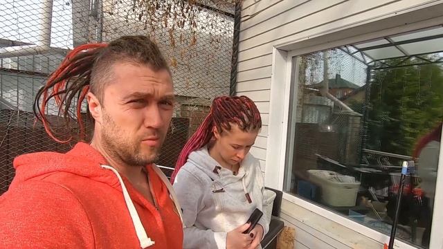 Стрижка Алабая! И опять проблемы! Едем к ветврачу!