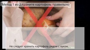 Как хранить картофель, чтобы он не прорастал