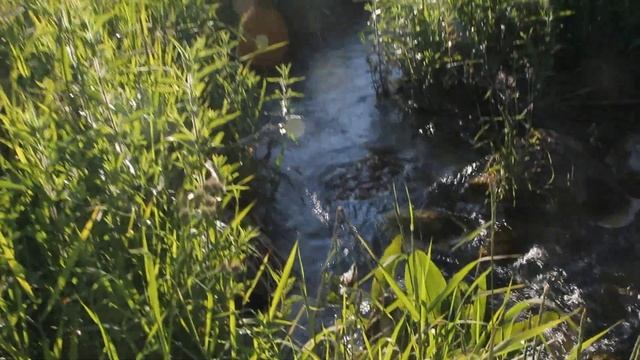 Большие Горки (Ропша), старая мельница