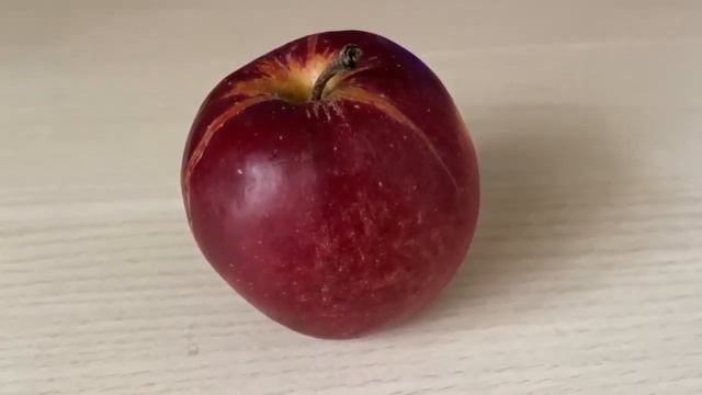 Арабский шансон смотреть онлайн