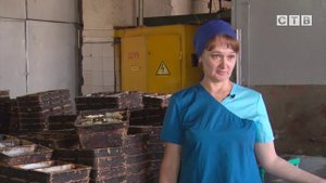 Прогулка по хлебозаводу