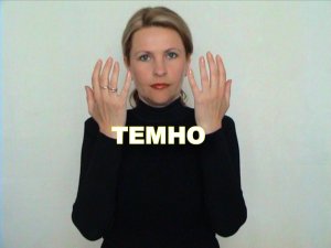 ЖЕСТОВЫЙ ЯЗЫК. СЛОВАРЬ. Темно