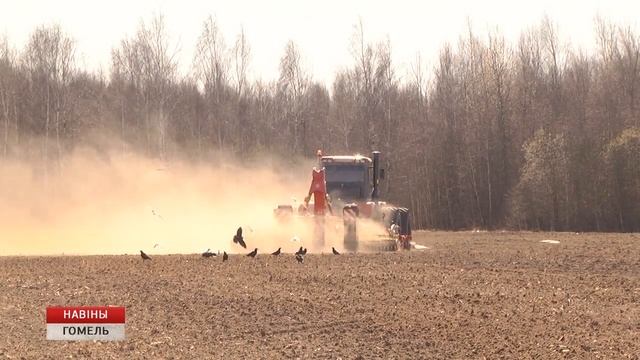 Сев ранних яровых смотреть онлайн