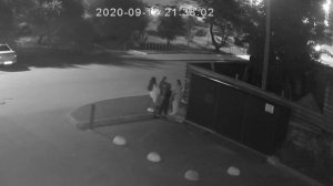 Вот кто делает закладки во Владимире