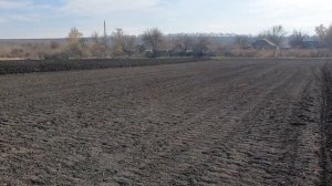 ОСЕННЯЯ ПОСАДКА ЧЕСНОКА  МОДЕРНИЗИРОВАННАЯ ЧЕСНОКОСАЖАЛКА В ДЕЛЕ