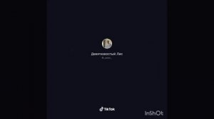 Тик Ток/Ян Лис