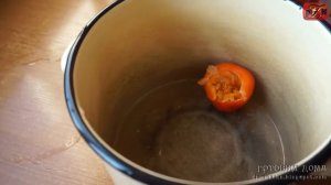 Перец Фаршированный Овощами???