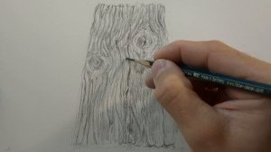 Croquis de texture de bois semi-réaliste