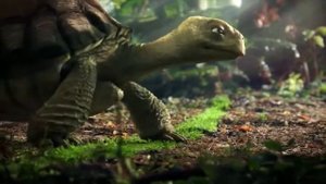 Прикольная реклама Mercedes-Benz