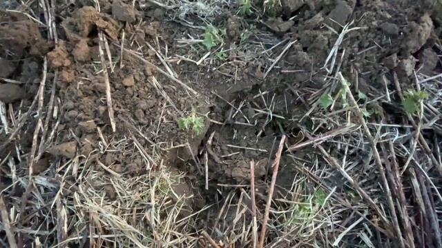 Раскопки в старой деревне или следы Российской Империи