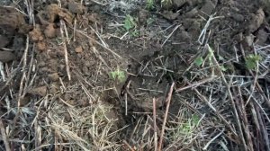 Раскопки в старой деревне или следы Российской Империи