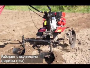Авангард (Мал да удал)