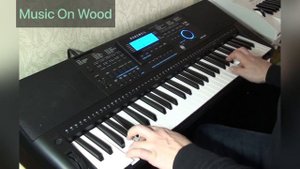 У чорного моря - Kurzweil KP150