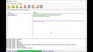 ProByte - Nissan infineon crash clear