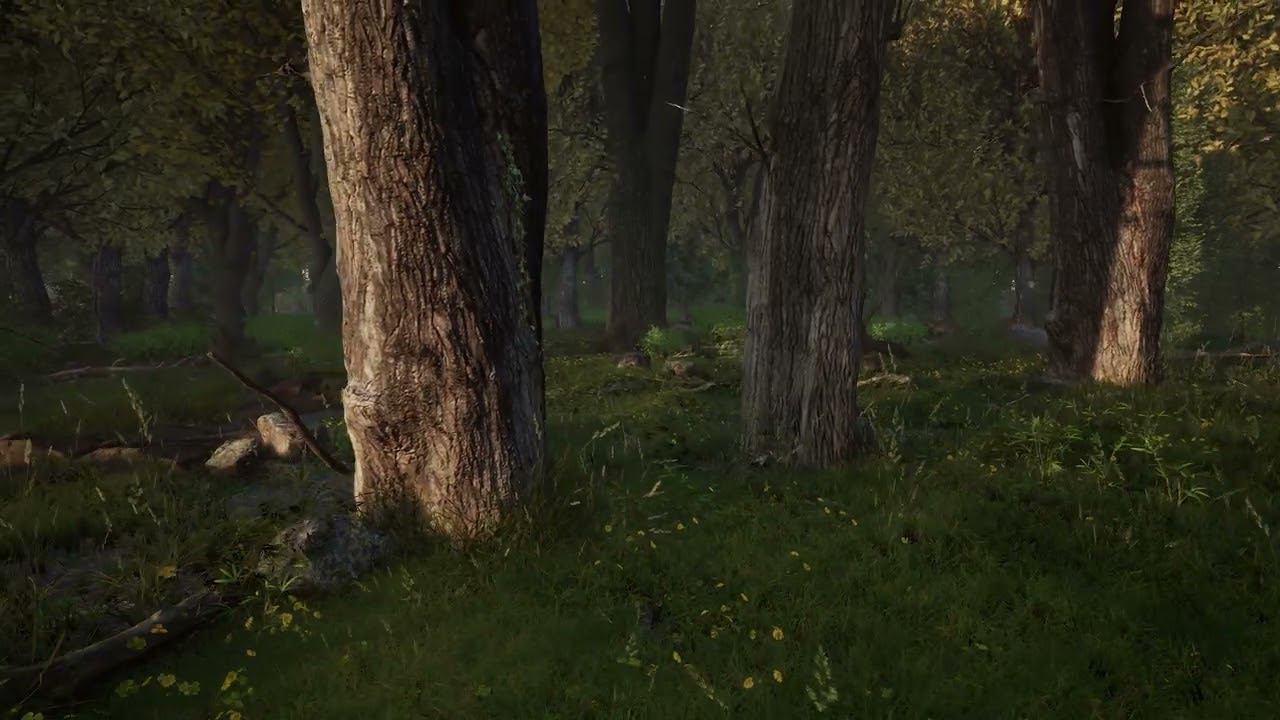 Twinmotion 23. Лес из детства. 4к. смотреть онлайн