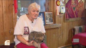 Восточноевропейские овчарки | Элита