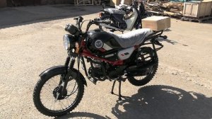 Мопед COLT. Новая расцветка.