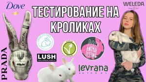 Тестирование косметики на кроликах. Новые технологии и тестирование на клетках человека.