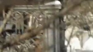 к\ф Усатый нянь - Первый день. музыка Рыбникова А.