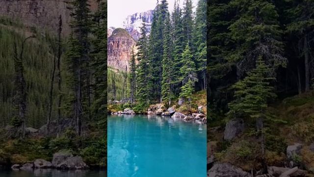 Самое интересное, короткое видео