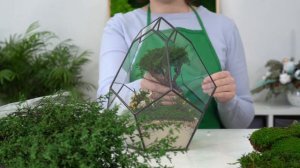 Моссариум с водоемом и водопадом своими руками