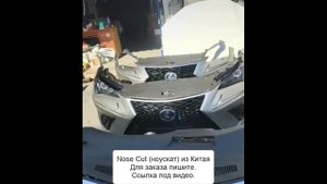 Ноускат из Китая. Ссылка под видео.